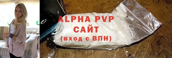 прущие грибы Козельск