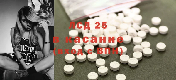 прущие грибы Козельск