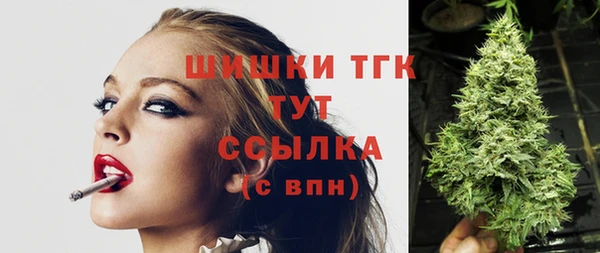 прущие грибы Козельск