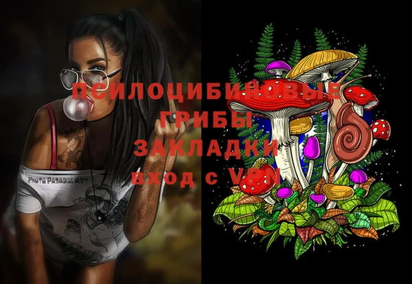 прущие грибы Козельск