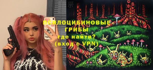 прущие грибы Козельск