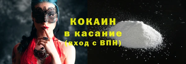 прущие грибы Козельск