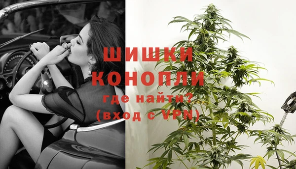 прущие грибы Козельск