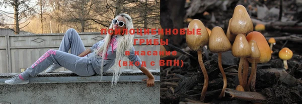 прущие грибы Козельск